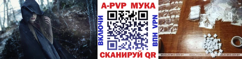 ссылка на мегу ТОР Ленинск A-PVP СК КРИС