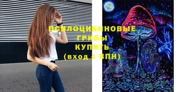 стаф Алексеевка