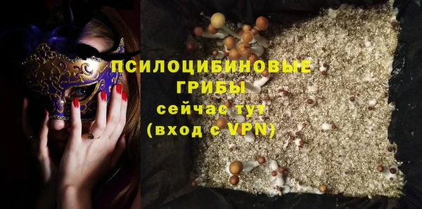 стаф Алексеевка