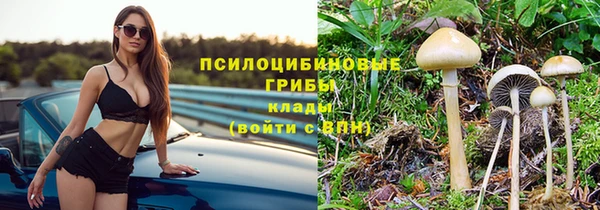 стаф Алексеевка